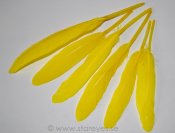 Gås vingpennor 10-14 cm - Lemon Zest