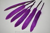 Gås vingpennor 10-14 cm - Royal Purple