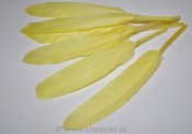 Gås vingpennor 10-14 cm - Pale Yellow