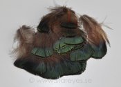 Lady Amherst fasan (diamantfasan) tupp fjädrar från halskrage, 5-7 cm