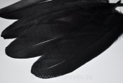 Gås kroppsfjädrar 12-18 cm - Black