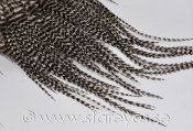 Grizzly tupp, s.k. feather extensions, smala fjädrar från nacke 9-11 cm - Natural