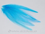 Tupphackel (fjädrar från nacke) 6-9 cm - Turquoise