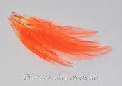 Tupphackel (fjädrar från nacke) 6-9 cm - Bright Orange