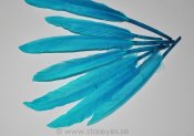 Gås vingpennor 10-14 cm - Turquoise