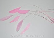 Tupp ”strippade” fjädrar 14-17 cm - Candy Pink