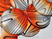 Mother of Pearl ”Tiger Flame”, handskurna stora coins 30mm