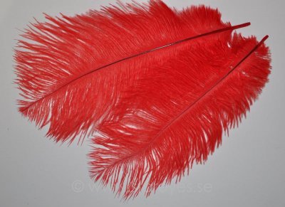 Struts kroppsfjädrar 15-20 cm - Red