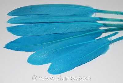 Gås vingpennor 10-14 cm - Turquoise Moonlight Dust