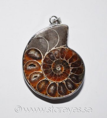 Fossiliserad ammonit, infattat hänge center-piece 41x30x9mm